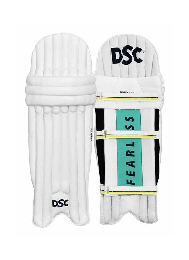 DSC - Premium Cricket Complete Kit with Helmet, Kashmir Willow Bat for Mens Size - Mens, Right Hand - Image 1