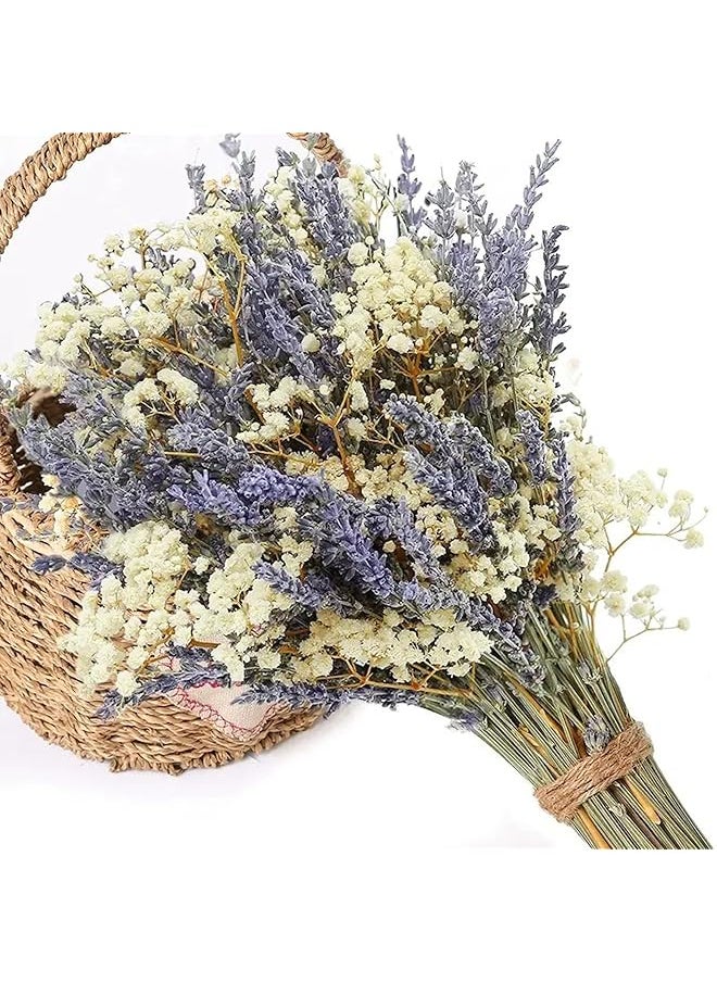 erorex 100 Dried Lavender And 5 Baby'S Breath Flowers Bundles Dried Flower Bouquet For Vase Natural Gypsophila Valentines Day Decor Present For Home Wedding Photography Floral Arrangement Diy  - Image 1