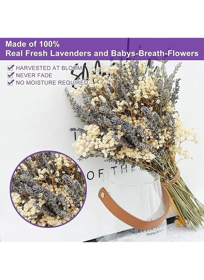 erorex 100 Dried Lavender And 5 Baby'S Breath Flowers Bundles Dried Flower Bouquet For Vase Natural Gypsophila Valentines Day Decor Present For Home Wedding Photography Floral Arrangement Diy  - Image 2