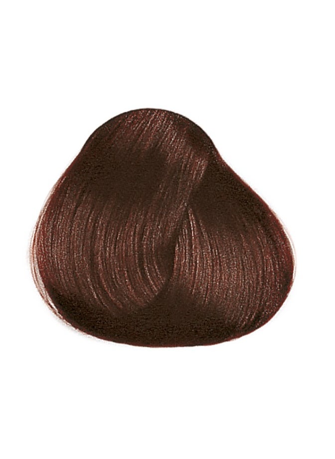 framesi - FRAMCOLOR 2001 - Permanent Hair Colouring Cream 60 ML | 5/G Mahogany Chestnut Glace - Image 1