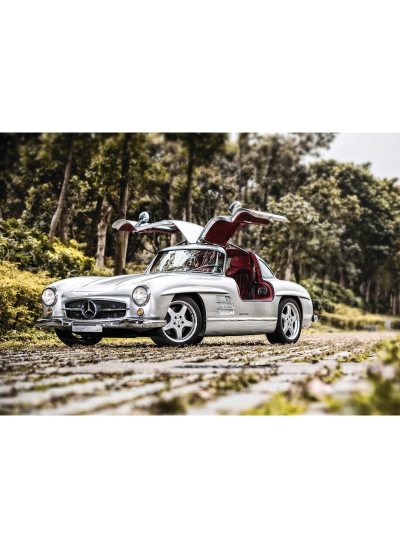 300 Sl Gulwing 1000 Piece Puzzle - pzsku/ZBC7650ADB95D1B416B67Z/45/_/1732882425/15ab1d25-2fb5-4770-8876-3fb15b8e68ff