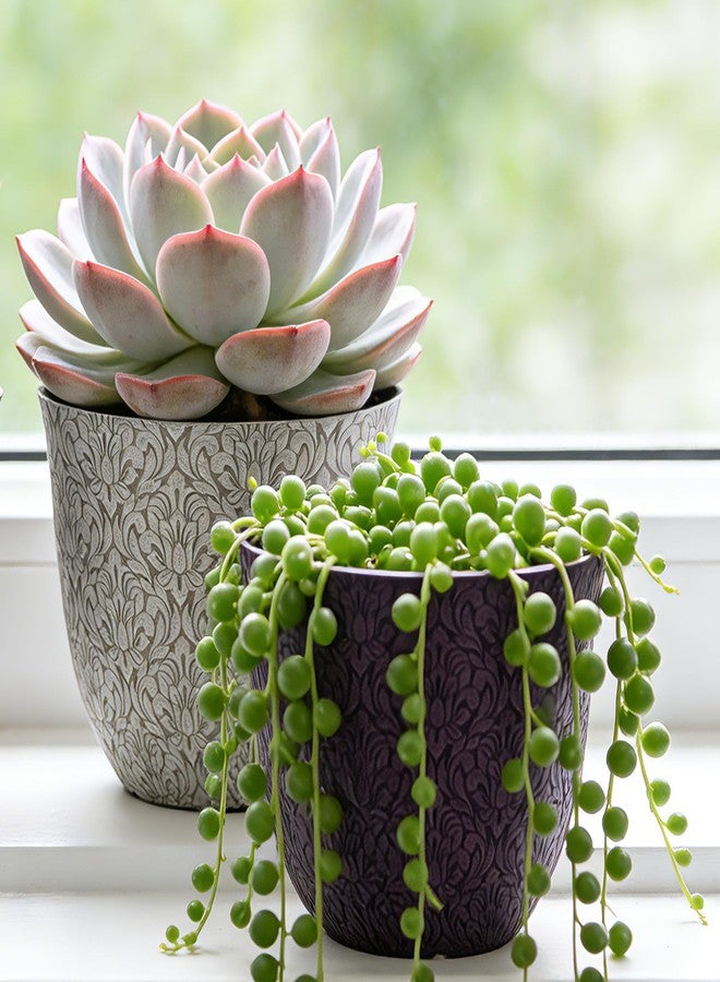 Worth Garden Plastic Round 8" Plant Pots for Indoor Plants - Set of 6 Multicolor Small Flower Pots W/Drainage Hole and Rubber Plug - Home Christmas Decorative planters Retro Floral Pattern - Image 2
