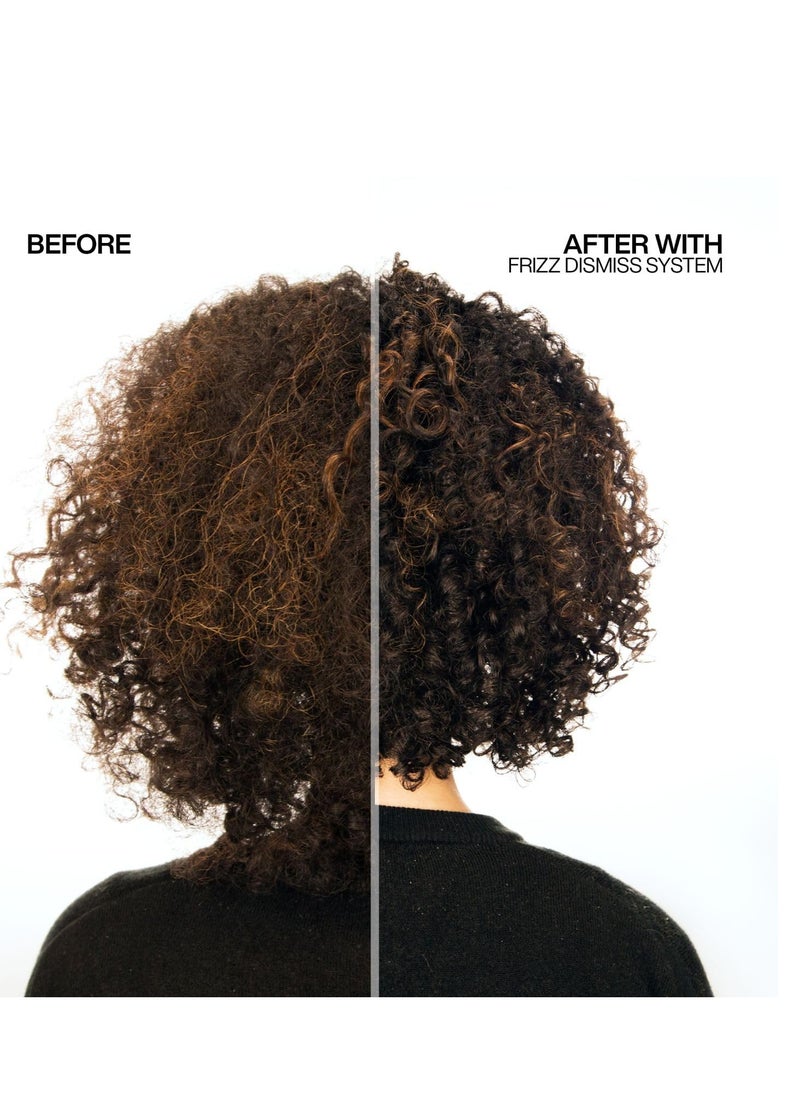 REDKEN - Redken Sulfate Free Frizz Dismiss Shampoo For Frizzy Hair - Smooths & Manages Frizz - Image 1