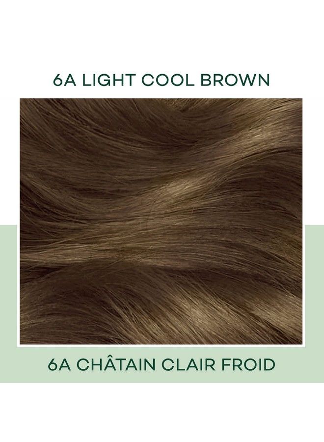 CLAIROL صبغة شعر طبيعية دائمة 6A بلون بني فاتح رائع عبوة من قطعة واحدة - Image 4
