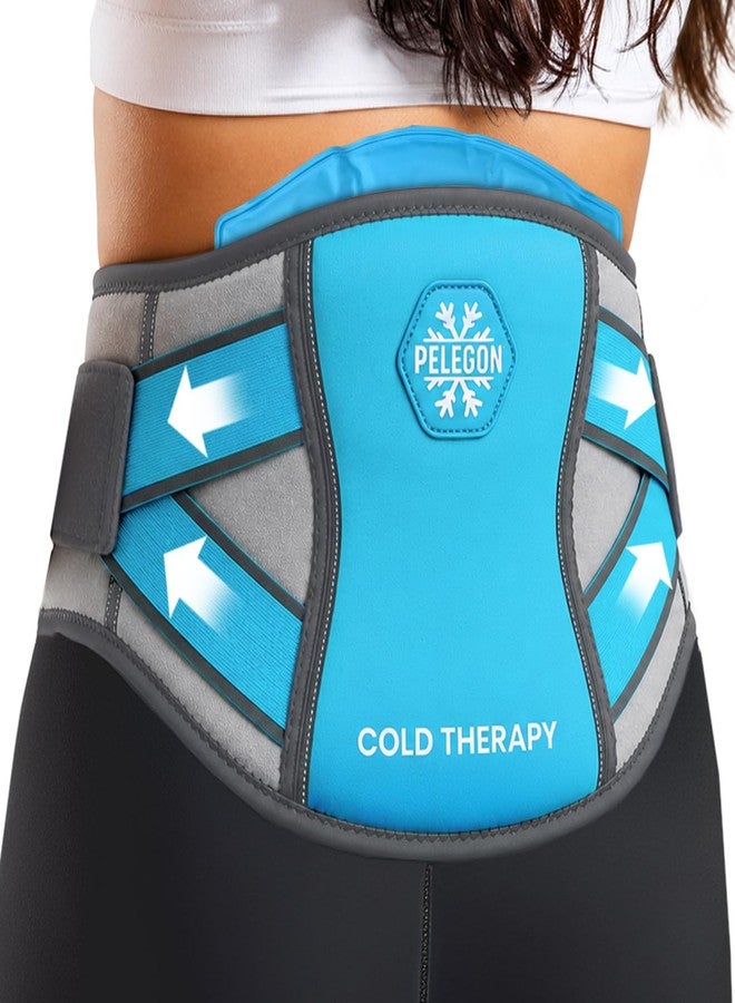 Pelegon Ice Pack for Back for Lower Back Pain Relief - Reusable Lower Back Ice Pack Wrap with Adjustable Brace - Cold Therapy Gel Pack for Sciatica, Coccyx, Herniated Disc and Recovery - Image 1
