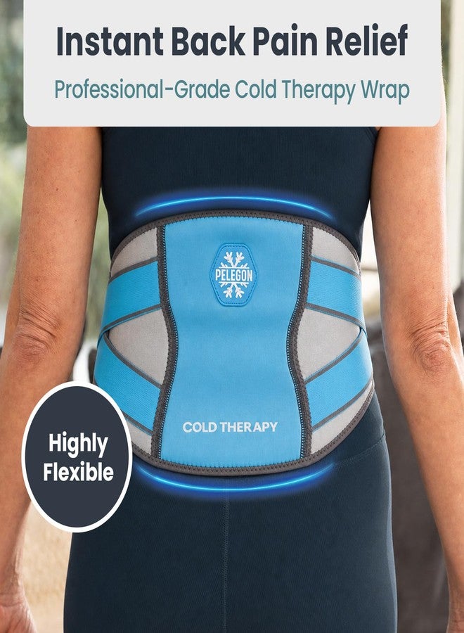 Pelegon Ice Pack for Back for Lower Back Pain Relief - Reusable Lower Back Ice Pack Wrap with Adjustable Brace - Cold Therapy Gel Pack for Sciatica, Coccyx, Herniated Disc and Recovery - Image 4