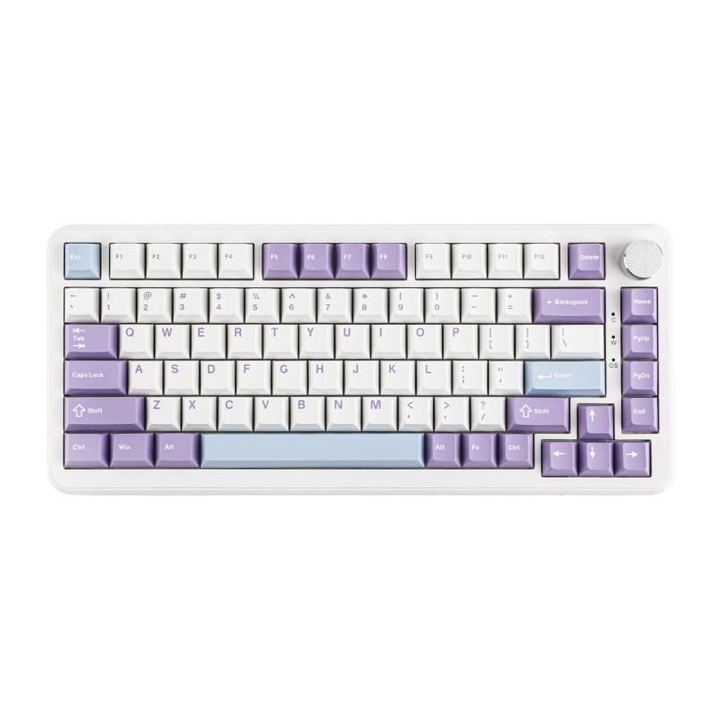 MechLands AJAZZ AK820 MAX HE Hall Effect Magnetic Gaming Keyboard, Adjustable Actuation, 8KHz Polling Rate, Wired Rapid Fast Keyboard, Creamy Gasket, RGB Backlight, NKRO for Win/Mac (White) - Image 1