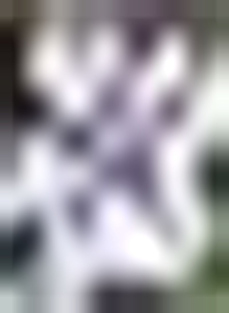 GGOOT 100Stück rosafarbene Clematis Samen natürliches Wachstum Rankenblume mehrjährige Kletterknollen für Gartenbepflanzung im Freien Dekoration Gärtner Einfach zu überleben - Image 1