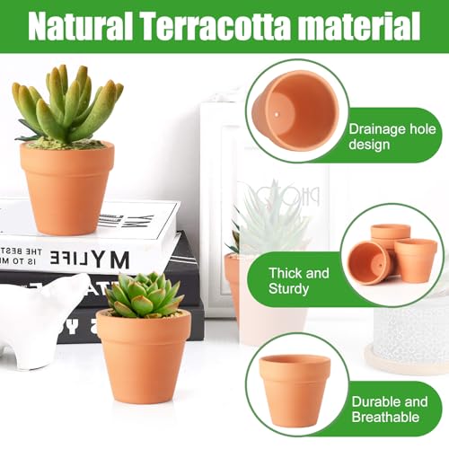 Baxrou Terra Cotta Pots, 24 Pack 3.15 Inch Mini Clay Pot with Drainage Holes,Cactus Flower Nursery Terracotta Pots for Indoor/Outdoor Succulent Plants, Crafts, Wedding Favor - Image 4