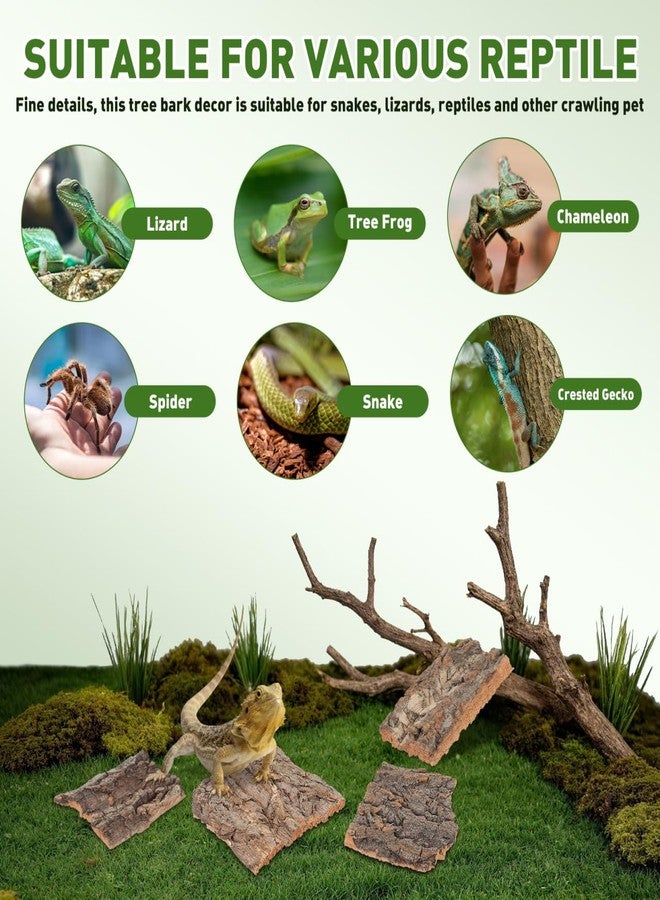 Lurrose 4Pcs Cork Bark Reptile Climbing Platform Terrarium Decor Natural Tree Bark Hide for Snakes Lizards Geckos Small Pets - Image 5