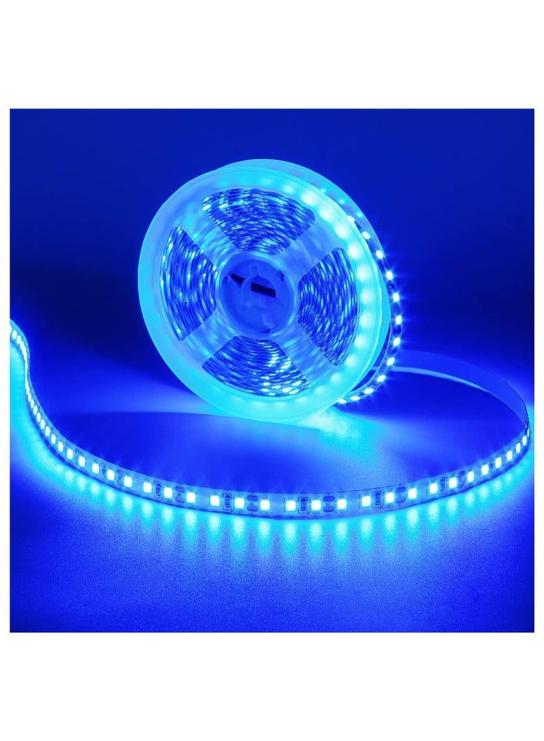KNP 5 Meter LED Strip Lights in Blue Provide Vibrant Illumination for any Space Adding a Stylish and Modern Accent to your Home or Office Decor. These Flexible LED Strips are Ideal for Both Indoor and Outdoor Use Perfect for Creating Ambient Lighting Highlighting Architectural Features or Adding a Fun and Colorful Touch to Parties and Events. - Image 1