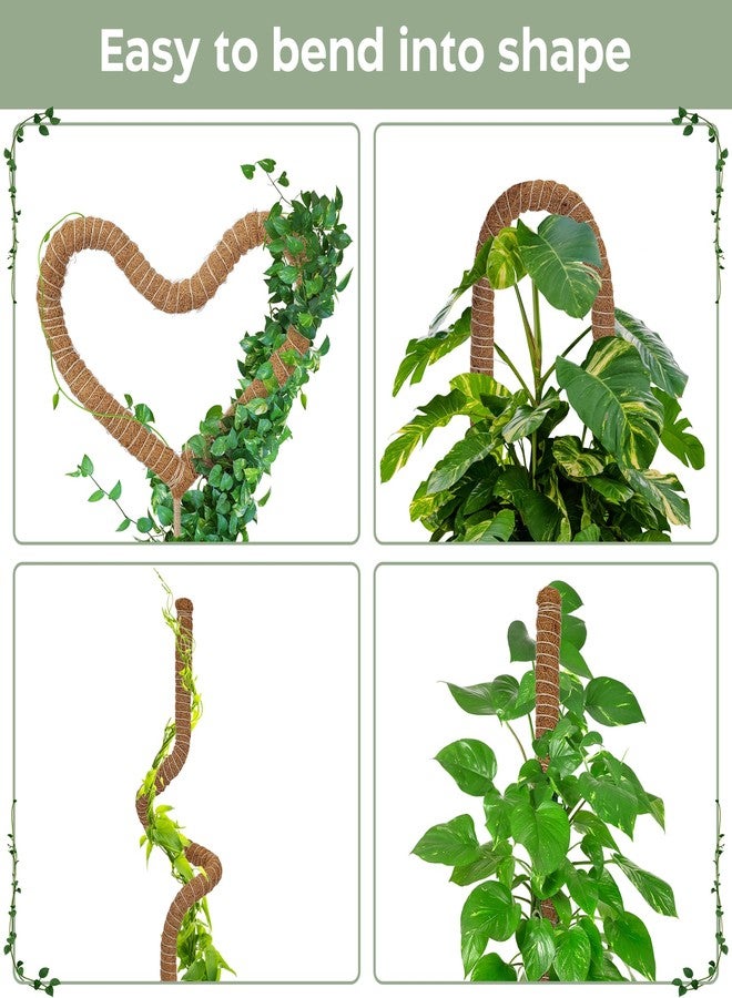K-Brands Moss Pole 2 Pack - 25'' Bendable Moss Poles for Monstera & Climbing Plants - Indoor Plant Support Stakes, Trellis, Coco Coir Poles, Potted Plant Support - Image 3