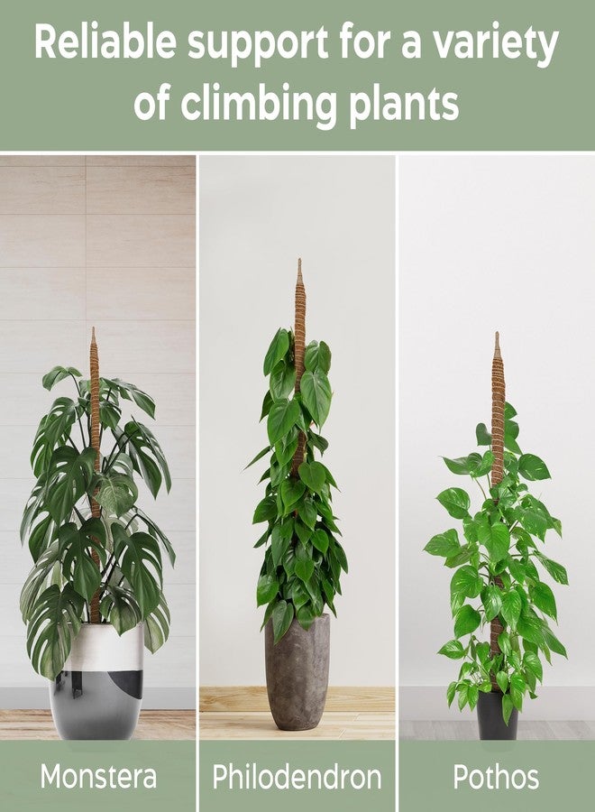 K-Brands Moss Pole 2 Pack - 25'' Bendable Moss Poles for Monstera & Climbing Plants - Indoor Plant Support Stakes, Trellis, Coco Coir Poles, Potted Plant Support - Image 4