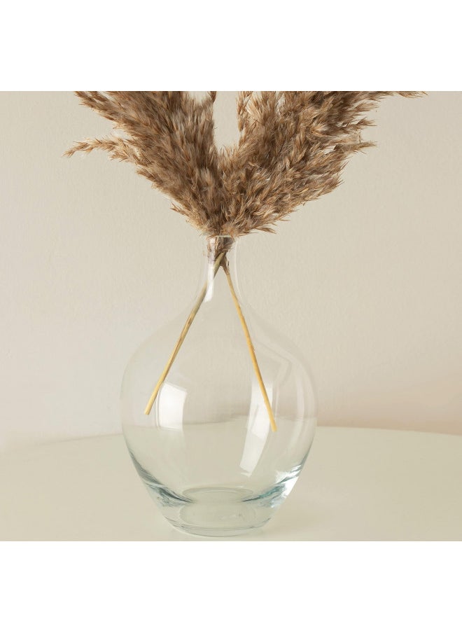 RyddeligHome Small Glass Decorative Vase for Pampas Grass Flowers for Decor for Dining Table Centerpiece for Living Room Home, Shelf, Demijohn, 7.9 inch Tall, Clear  - Image 3