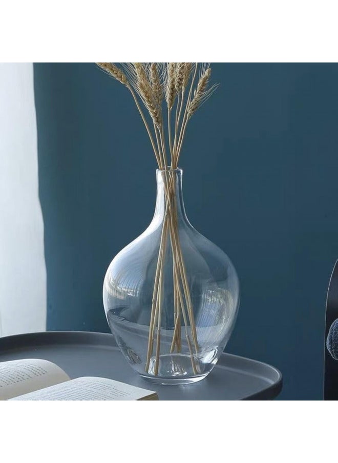 RyddeligHome Small Glass Decorative Vase for Pampas Grass Flowers for Decor for Dining Table Centerpiece for Living Room Home, Shelf, Demijohn, 7.9 inch Tall, Clear  - Image 1