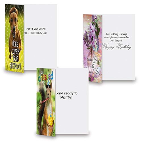 Current Festive Mega Birthday Greeting Card Value Pack – Set of 36 (18 Designs), Large 5 x 7 inches, Envelopes Included - Image 3