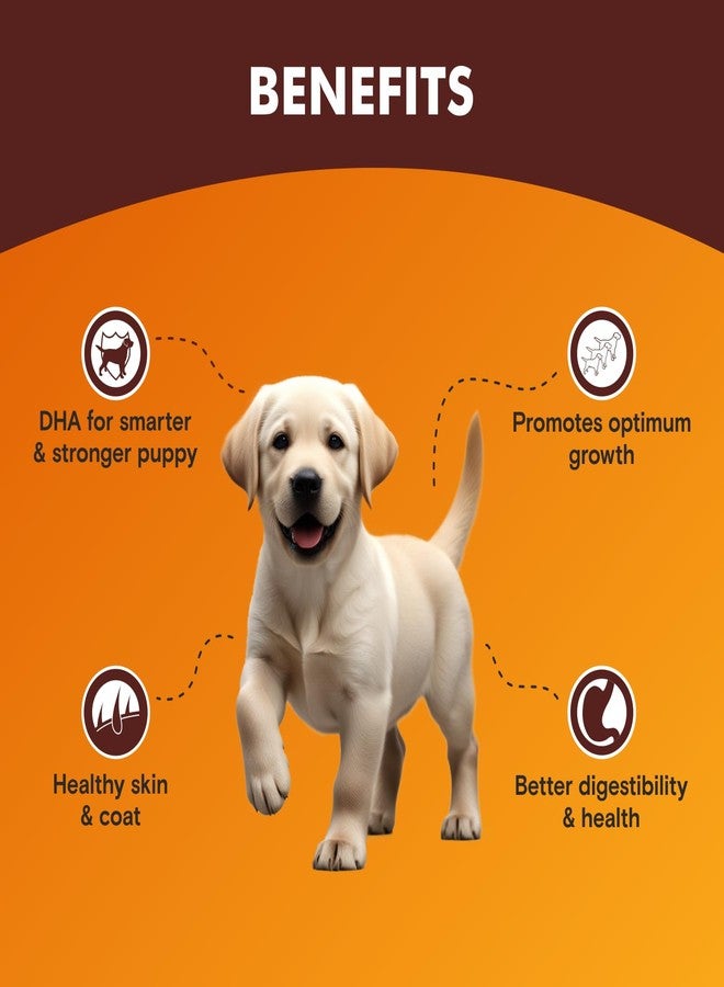 Meat Up Puppy Wet Dog Food (8 x 70g) 560g + 560g (Free) 1120g| Real Chicken in Gravy| Buy 1 Get 1 | Healthy Digestion | Promotes Health & Vitality | Complete and Balanced Meal - Image 2