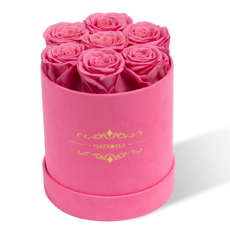 NATROSES 7 Piece Preserved Roses in a Box Preserved Flowers for Birthday Flower Gifts for Mothers Day Pink