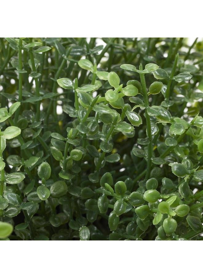 Generic Artificial potted plant, in/outdoor Baby’s tears, 9 cm  - Image 4