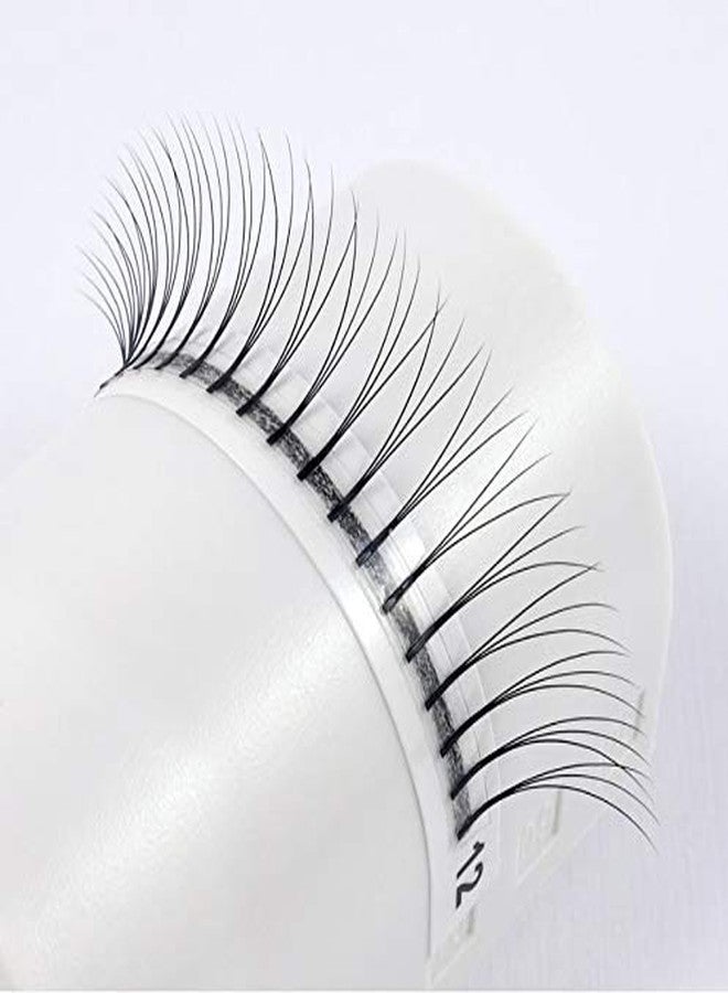 Alluring Eyelash Extension Alluring Lashes Volume 3D Lash Fans D Curl 10mm - Image 3