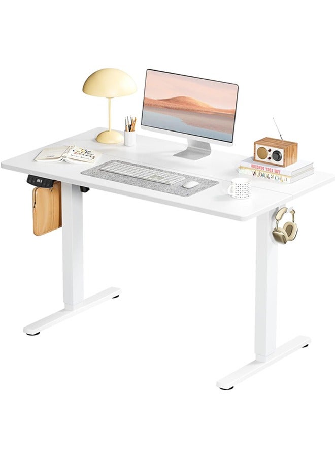 DESINO 120CM Large Electric Standing Desk, Height Adjustable Computer Desk, 60CM Deep Desktop, Stand up Gaming Office Table, 2 Preset Heights, for Home Office - Image 1