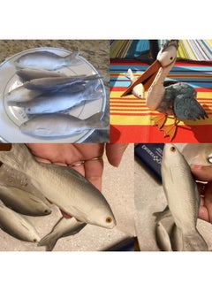 HONBAY 2Pcs Fake Fish Artificial Sea Fish Model Simulated Animal Fish Playset Model For Kitchen Decor Photography Props Food Display Favor (7.48 Inch)  - Image 4