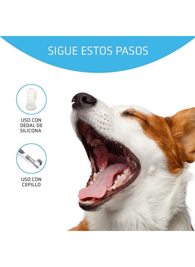 ARTERO ARTERO Dentix Tooth Paste Gel for Dogs to Remove The Plaque and Keep Bad Breath at Bay  - Image 3