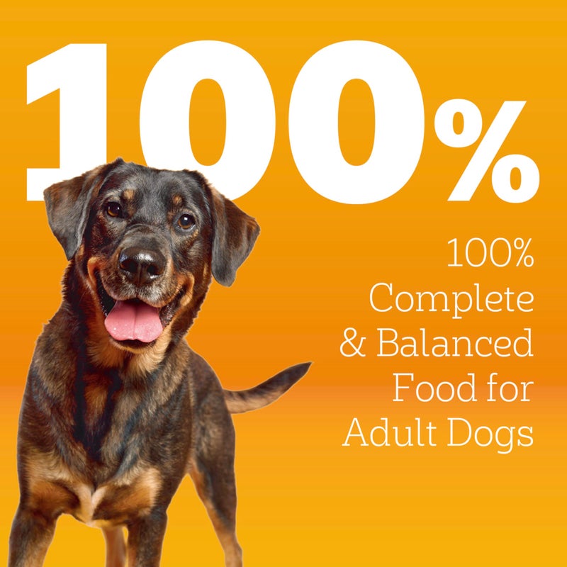 Pedigree طعام جاف للكلاب البالغة من بيديجري، بروتين عالي، نكهة لحم البقر والضأن، 18 رطل. - Image 3