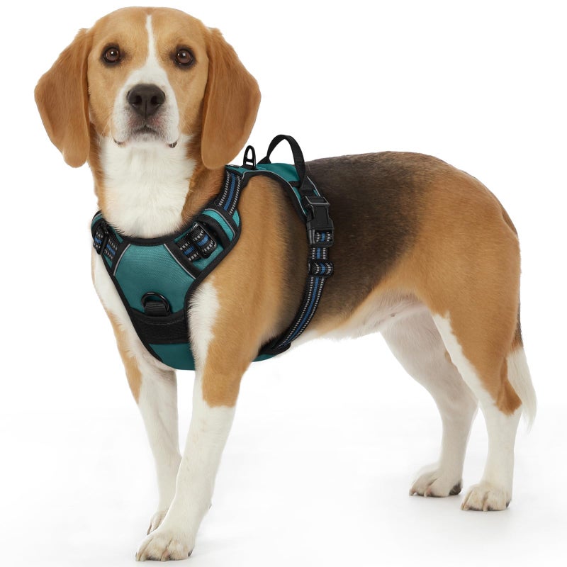 Eagloo Dog Harness Small Sized Dog, No Pull Service Vest with Reflective Strips and Control Handle, Adjustable and Comfortable for Walking, No Choke Pet Harness with 2 Metal Rings, Dark Green, S - Image 1
