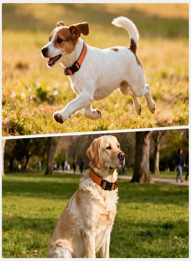 Glohoop Reflective Dog Collar with Quick Release Buckle - Metal Ring - Adjustable Soft Neoprene Padded Basic Dog Collar for Small Medium Large Dogs (Orange, Medium :Width 1",Neck 13.8-19.6") - Image 2