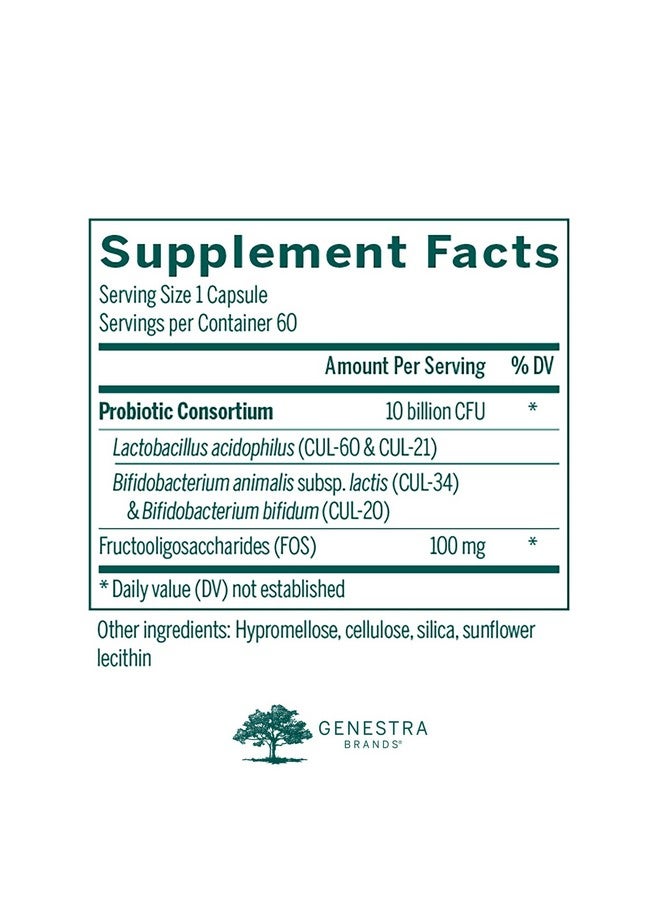 Genestra Brands - HMF Forte Probiotic Supplement - Four Strains of Probiotics to Promote GI Health - 60 Capsules - Image 2