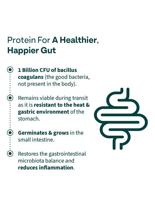 OZiva Daily Protein Activ for Women | Best Protein Powder for Women with 120g Protein, Probiotics, Shatavari for Increased Energy Levels, Bone Health and Hormonal Balance 300g (Chocolate, Pack 1) - Image 4