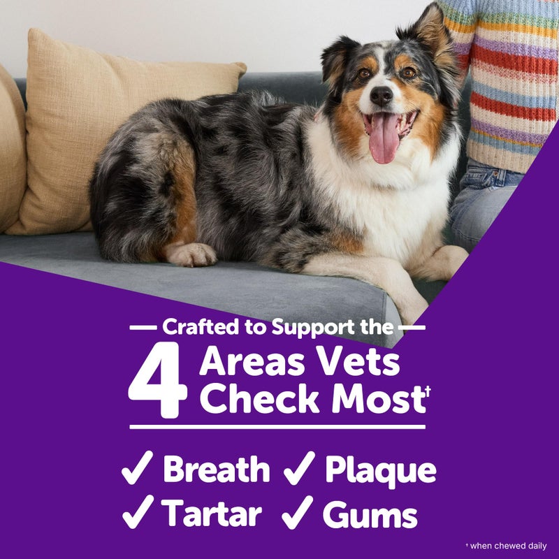 WHIMZEES Wellness Daily Brushzees Dog Dental Treats, Small Size Stick, (14 Count) - Image 4