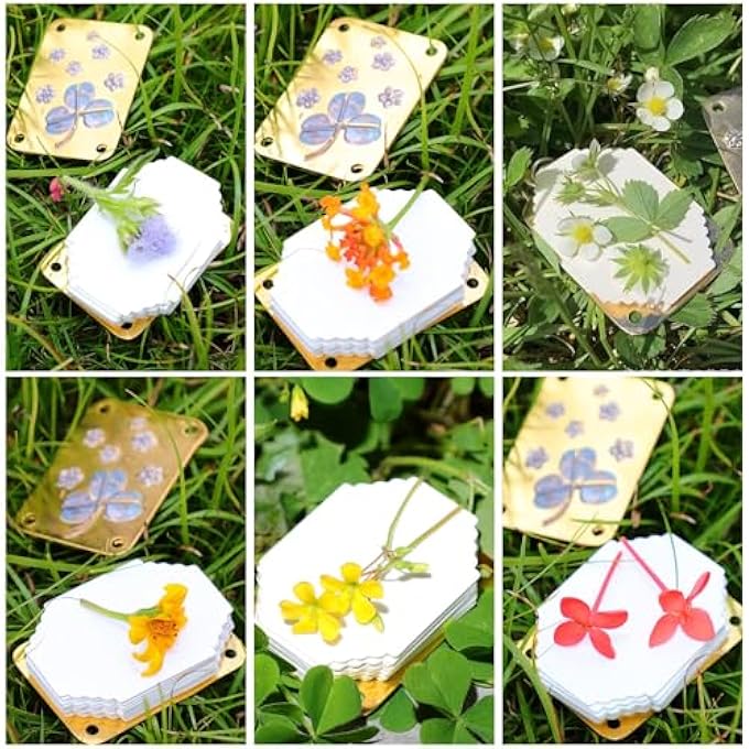 MICRO FLOWER PRESS, MINIATURE FLOWERS PRESS KIT, METAL FLOWERS PRESSING, MINI FLOWER PRESS FOR DIY ARTS & CRAFTS, PRESERVATION KIT FOR PRESSING PLANTS, IDEAL GIFT FOR ARTS AND CRAFTS LOVERS - Image 3