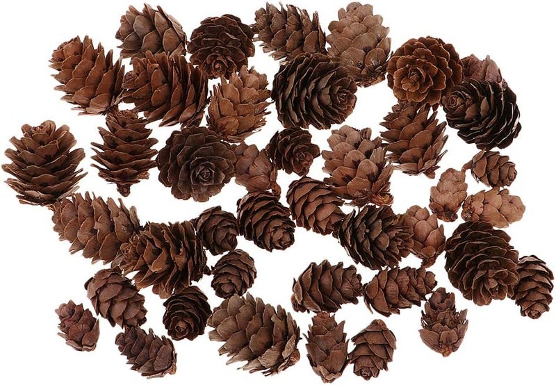 klarako 50 Pieces Assorted Size Mini Decorative Pinecone Pine Cones for Vase Bowl Filler Displays Crafts Home Christmas Table Decoration - Image 2