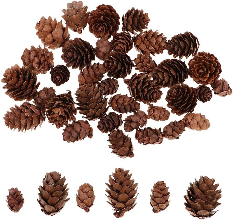 klarako 50 Pieces Assorted Size Mini Decorative Pinecone Pine Cones for Vase Bowl Filler Displays Crafts Home Christmas Table Decoration - Image 1