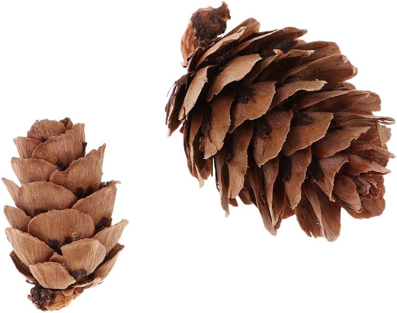 klarako 50 Pieces Assorted Size Mini Decorative Pinecone Pine Cones for Vase Bowl Filler Displays Crafts Home Christmas Table Decoration - Image 4