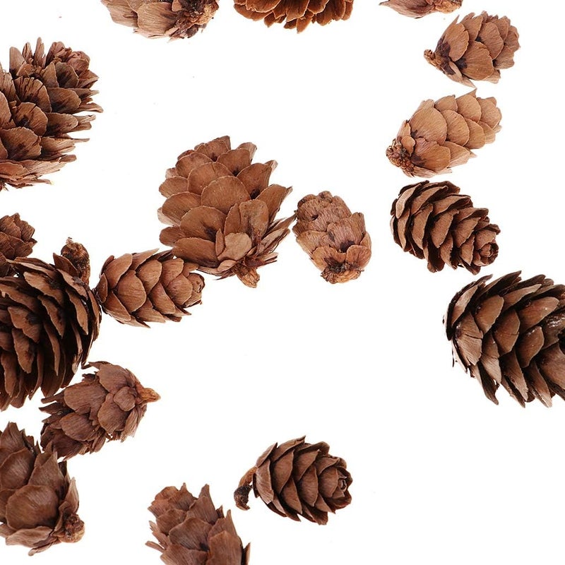 klarako 50 Pieces Assorted Size Mini Decorative Pinecone Pine Cones for Vase Bowl Filler Displays Crafts Home Christmas Table Decoration - Image 3