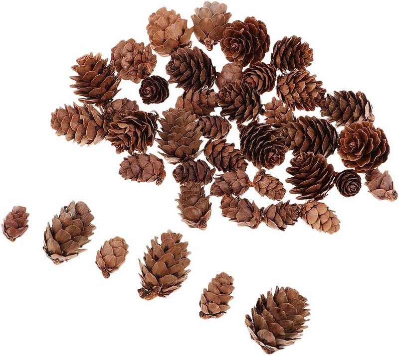 klarako 50 Pieces Assorted Size Mini Decorative Pinecone Pine Cones for Vase Bowl Filler Displays Crafts Home Christmas Table Decoration - Image 5