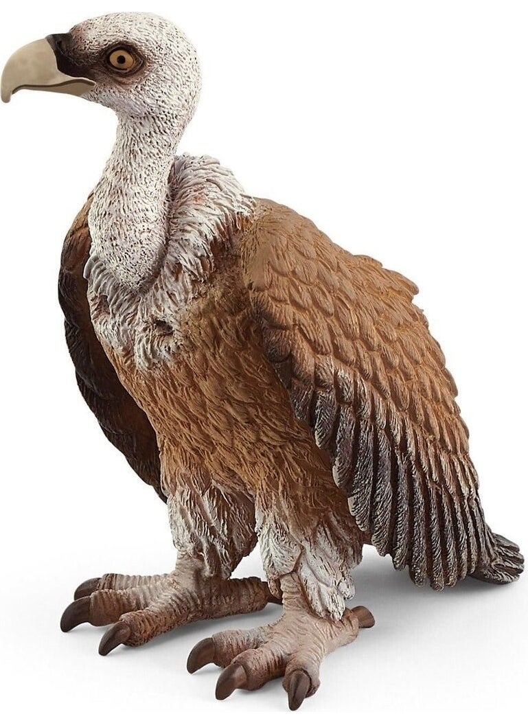 Schleich Vulture 14847 