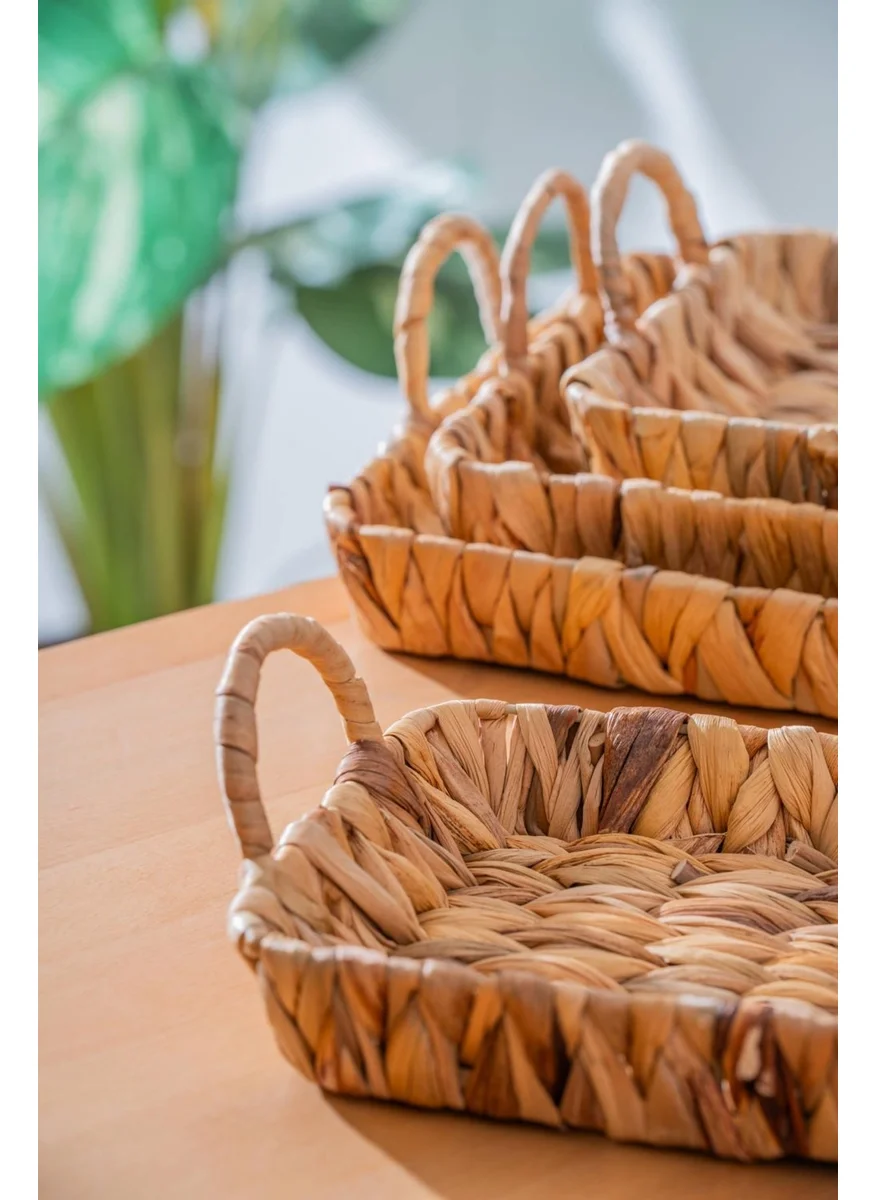 أكار Wicker 4 Piece Wicker Rectangular Basket