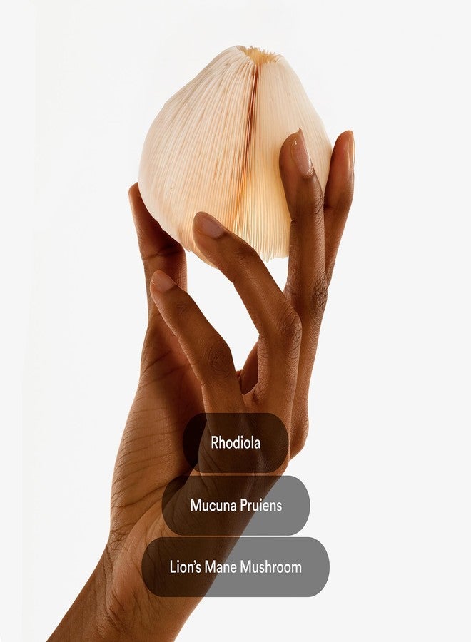 Kind Patches Mood Plus Patches with Mucuna Pruriens, Rhodiola, and Lions Mane Extract - Vegan - 30 Count - Image 3