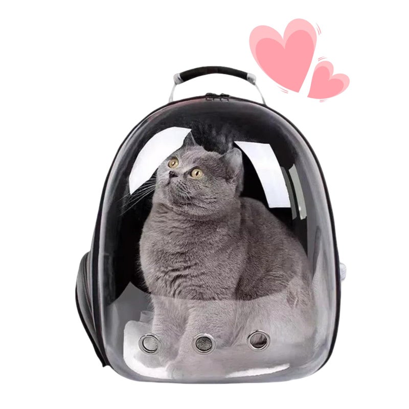 Cat Backpack Bubble, Cats and Dogs Pet Carrier Hard, Suitable for Cats Traveling Cat Bag Carrier, Transparent Outdoor Waterproof Spacecraft Pet Backpack Carrier(Black)