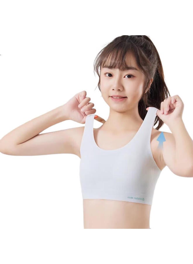 GUJIN (Gujin) 2 Pieces Seamless Girls' Underwear Youth Development Stage Two 10-14 Years Old Girls' Bra Junior High School Elementary School Students - Image 3