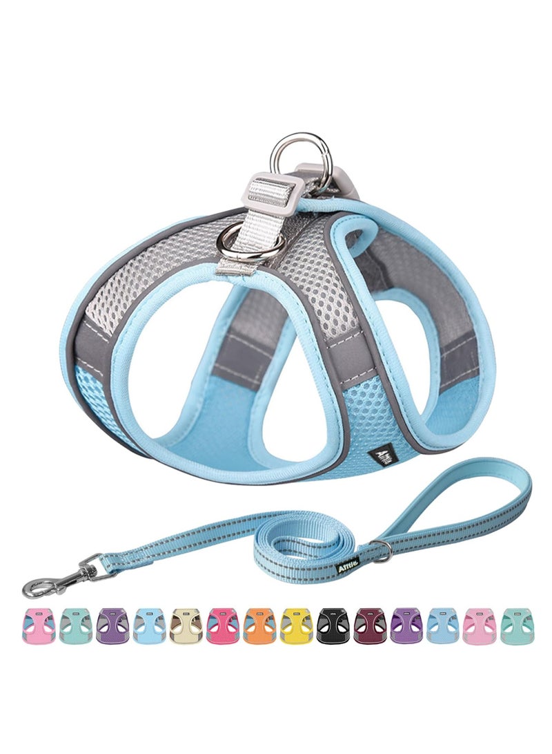 SYOSI No Pull Dog Harness and Leash Set Step in Adjustable Dog Harness with Padded Vest for All Weather Dog Leash with Soft Padded Handle  Easy to Put on Small and Medium Dogs Blue S - Image 1