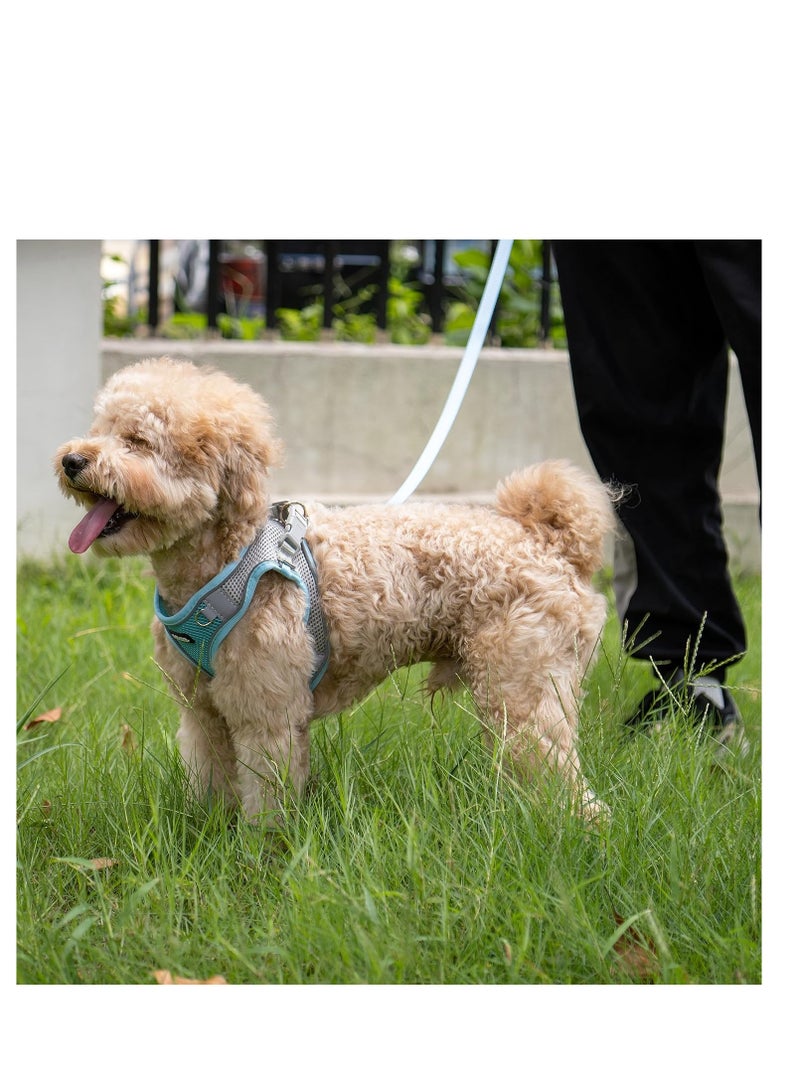 SYOSI No Pull Dog Harness and Leash Set Step in Adjustable Dog Harness with Padded Vest for All Weather Dog Leash with Soft Padded Handle  Easy to Put on Small and Medium Dogs Blue S - Image 5