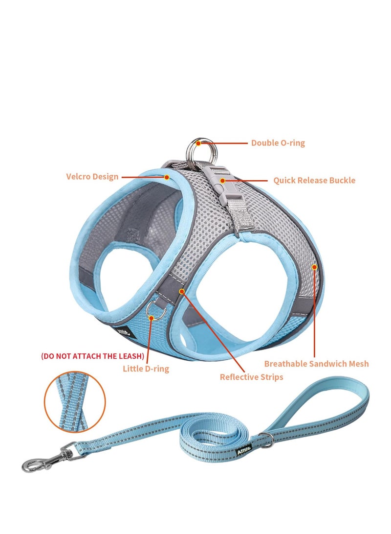 SYOSI No Pull Dog Harness and Leash Set Step in Adjustable Dog Harness with Padded Vest for All Weather Dog Leash with Soft Padded Handle  Easy to Put on Small and Medium Dogs Blue S - Image 2