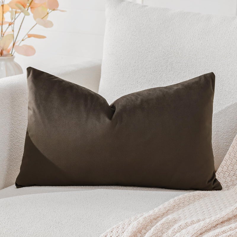 Artscope Luxury Velvet Cushion Covers Decorative Rectangle Pillowcases Soft Solid Cushion Cases for Couch Sofa Bedroom Car Decor 40x60cm Chocolate Brown