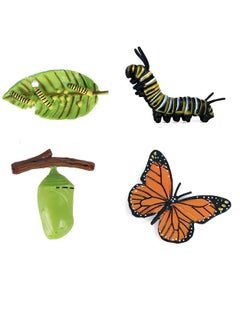 Daytoyz Butterfly Growth Cycle Toys Growth Stage Toys Butterfly Life Cycle Model Set Education Animal Figures Toys for Kids  - Image 1
