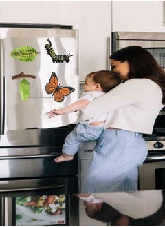 Daytoyz Butterfly Growth Cycle Toys Growth Stage Toys Butterfly Life Cycle Model Set Education Animal Figures Toys for Kids  - Image 3